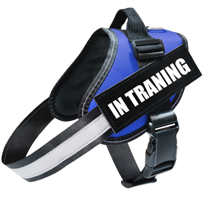 Reflective Dog Leash, Dog Leash, Dog Harness Bettertoshop.com