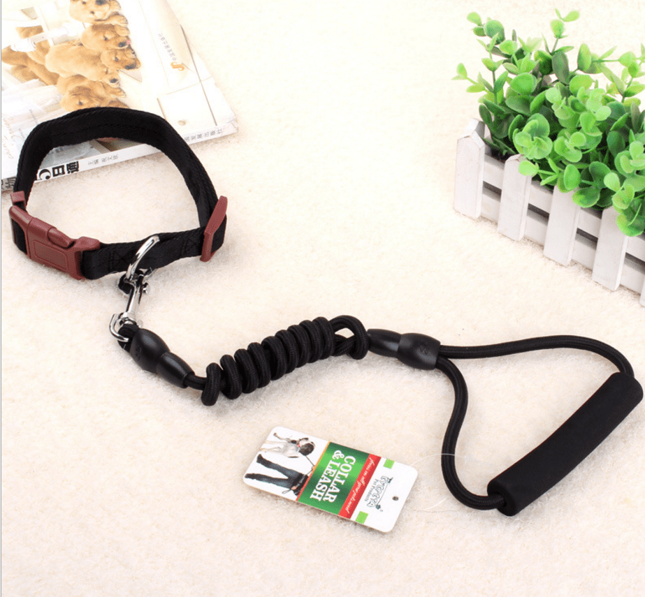 dog chain, dog collar, pet harness rope Bettertoshop.com