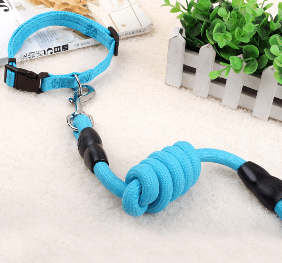 dog chain, dog collar, pet harness rope Bettertoshop.com